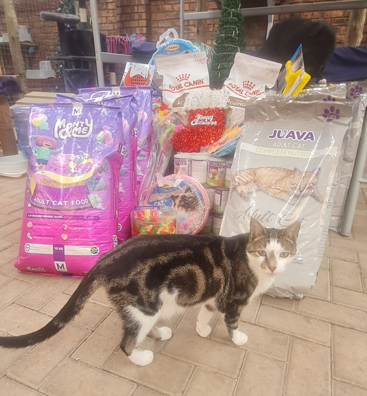 Feral Care Friends Middelburg
